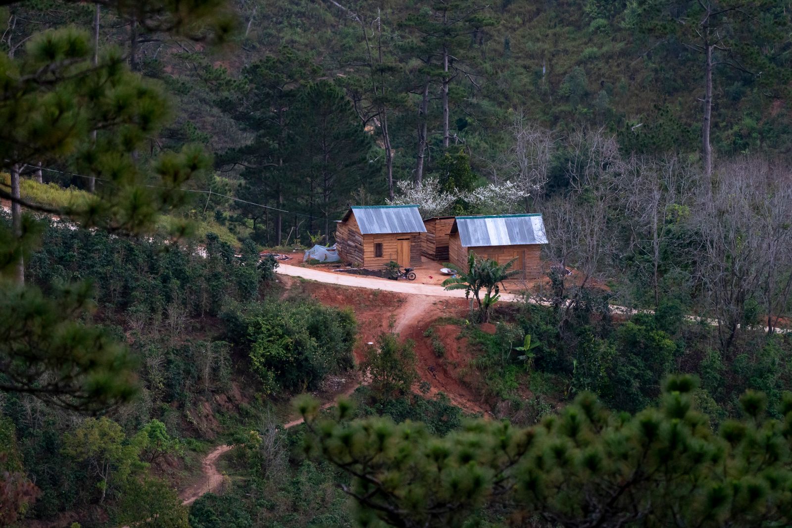 Homes in East Mountains